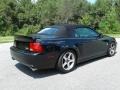 2003 Black Ford Mustang Cobra Convertible  photo #7