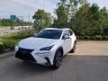 Eminent White Pearl - NX 300 AWD Photo No. 1