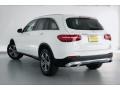 Polar White - GLC 300 Photo No. 2
