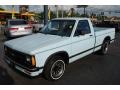 1992 Sky Blue Chevrolet S10 Regular Cab  photo #1