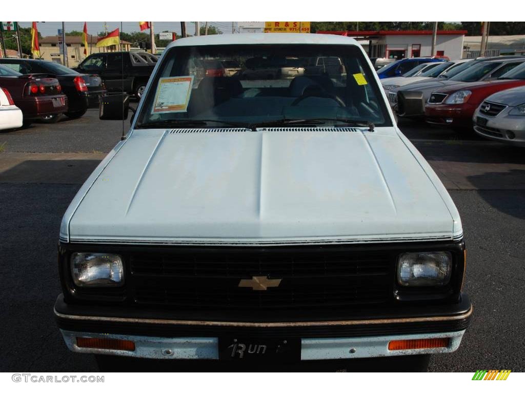 1992 S10 Regular Cab - Sky Blue / Blue photo #3