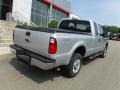 Ingot Silver Metallic - F250 Super Duty XLT SuperCab 4x4 Photo No. 10