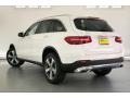 Polar White - GLC 300 Photo No. 2