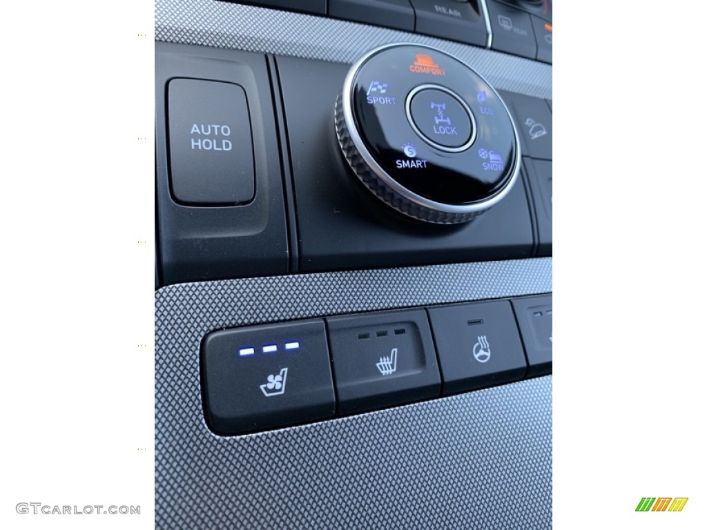 2020 Hyundai Palisade Limited AWD Controls Photo #134832296