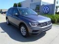 Platinum Gray Metallic 2019 Volkswagen Tiguan S 4MOTION