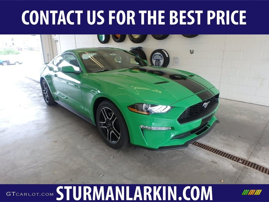 2019 Mustang EcoBoost Fastback - Need For Green / Ebony photo #1