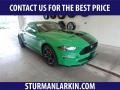 2019 Need For Green Ford Mustang EcoBoost Fastback  photo #1