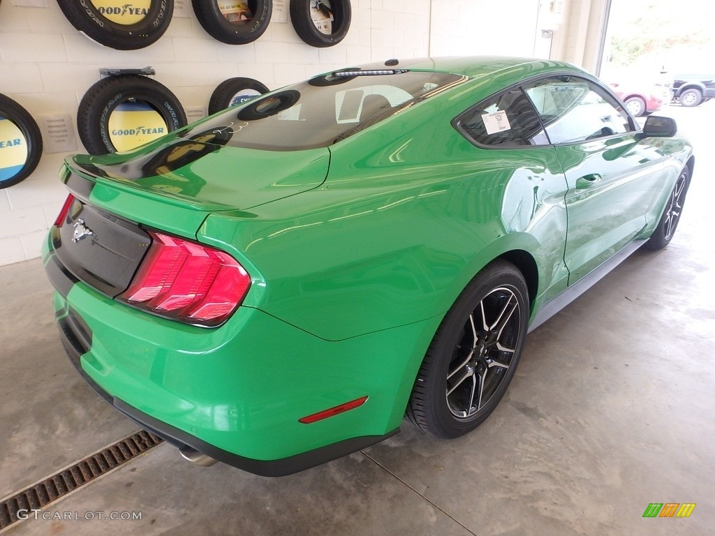 2019 Mustang EcoBoost Fastback - Need For Green / Ebony photo #2