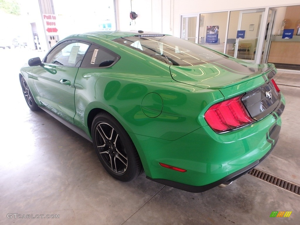 2019 Mustang EcoBoost Fastback - Need For Green / Ebony photo #4