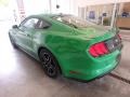 2019 Need For Green Ford Mustang EcoBoost Fastback  photo #4