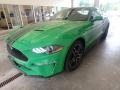 Need For Green 2019 Ford Mustang EcoBoost Fastback Exterior