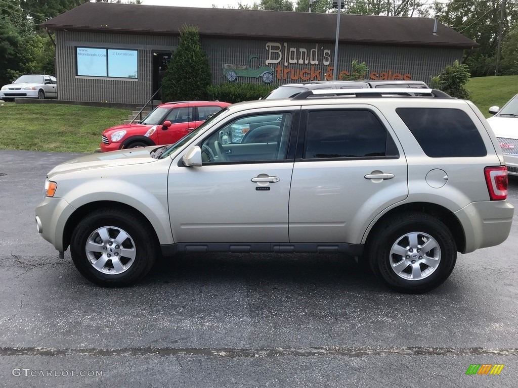 2010 Escape Limited V6 4WD - Gold Leaf Metallic / Camel photo #1