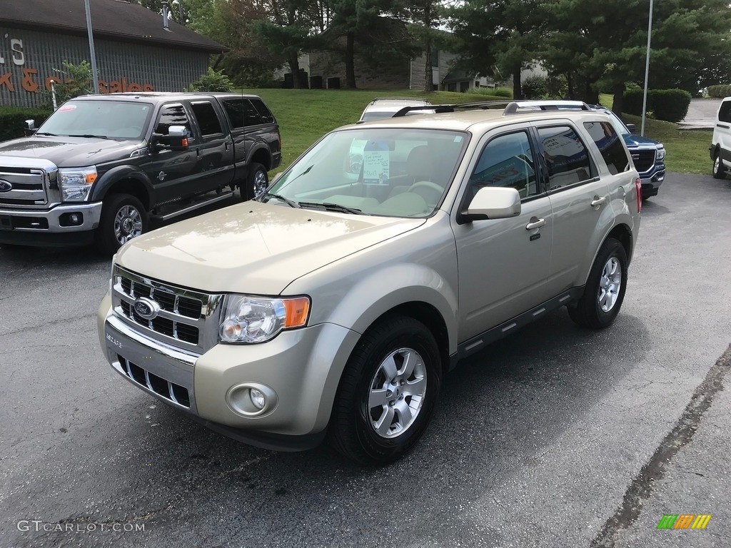 2010 Escape Limited V6 4WD - Gold Leaf Metallic / Camel photo #2