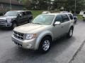 2010 Gold Leaf Metallic Ford Escape Limited V6 4WD  photo #2