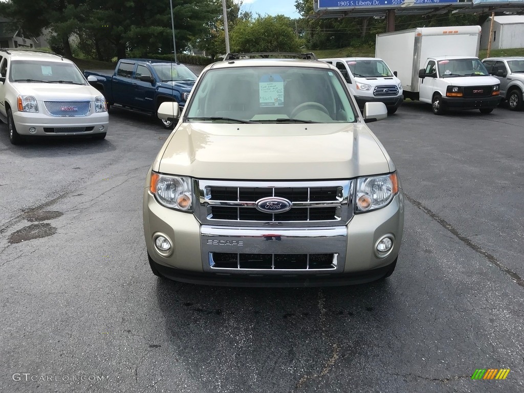 2010 Escape Limited V6 4WD - Gold Leaf Metallic / Camel photo #3