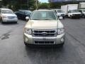 2010 Gold Leaf Metallic Ford Escape Limited V6 4WD  photo #3