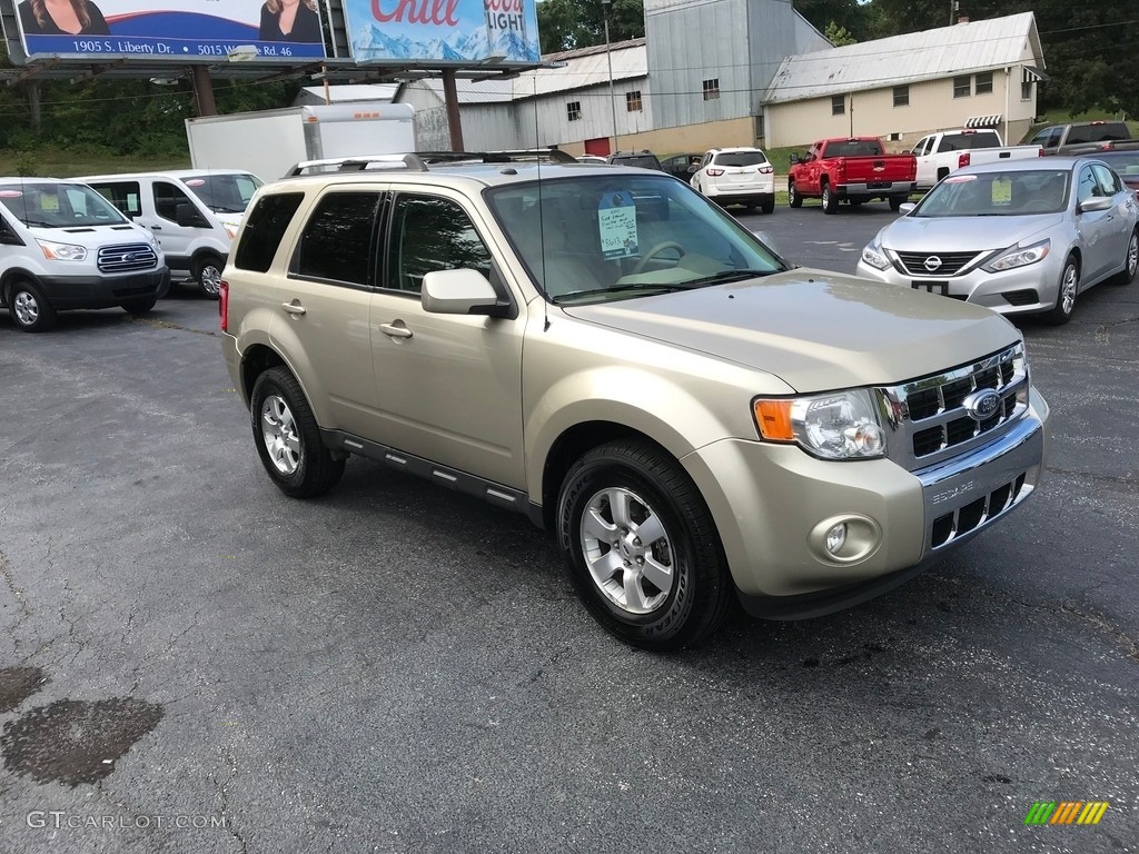 2010 Escape Limited V6 4WD - Gold Leaf Metallic / Camel photo #4