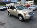 2010 Gold Leaf Metallic Ford Escape Limited V6 4WD  photo #4