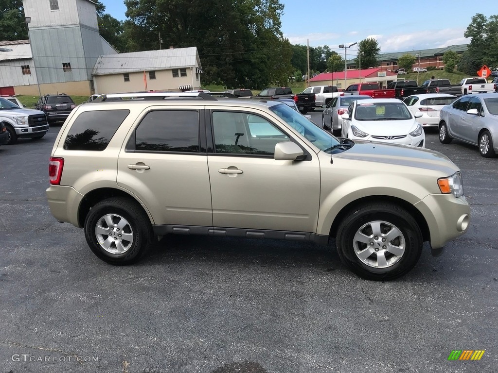 2010 Escape Limited V6 4WD - Gold Leaf Metallic / Camel photo #5