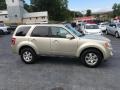 2010 Gold Leaf Metallic Ford Escape Limited V6 4WD  photo #5