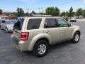 2010 Gold Leaf Metallic Ford Escape Limited V6 4WD  photo #6