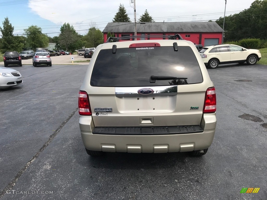 2010 Escape Limited V6 4WD - Gold Leaf Metallic / Camel photo #7
