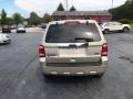 2010 Gold Leaf Metallic Ford Escape Limited V6 4WD  photo #7