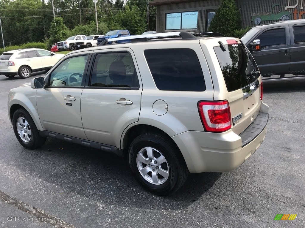 2010 Escape Limited V6 4WD - Gold Leaf Metallic / Camel photo #9