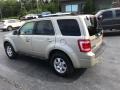 2010 Gold Leaf Metallic Ford Escape Limited V6 4WD  photo #9