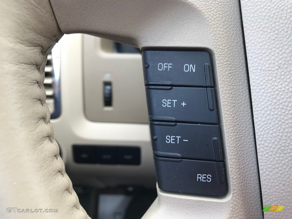 2010 Escape Limited V6 4WD - Gold Leaf Metallic / Camel photo #15