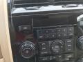 2010 Gold Leaf Metallic Ford Escape Limited V6 4WD  photo #18