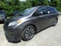 2020 Predawn Gray Mica Toyota Sienna XLE AWD  photo #8