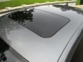 Platinum Gray Metallic - Jetta SE Sedan Photo No. 54