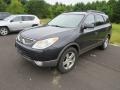 2008 Deep Blue Metallic Hyundai Veracruz Limited AWD  photo #2