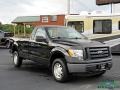 2010 Tuxedo Black Ford F150 XL Regular Cab 4x4  photo #7