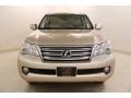 Satin Cashmere Metallic - GX 460 Photo No. 2