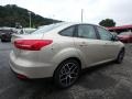 White Gold - Focus SEL Sedan Photo No. 2