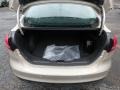 White Gold - Focus SEL Sedan Photo No. 3