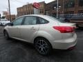 White Gold - Focus SEL Sedan Photo No. 5