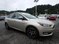 White Gold - Focus SEL Sedan Photo No. 9
