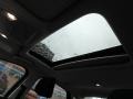 White Gold - Focus SEL Sedan Photo No. 11