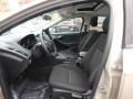 White Gold - Focus SEL Sedan Photo No. 13
