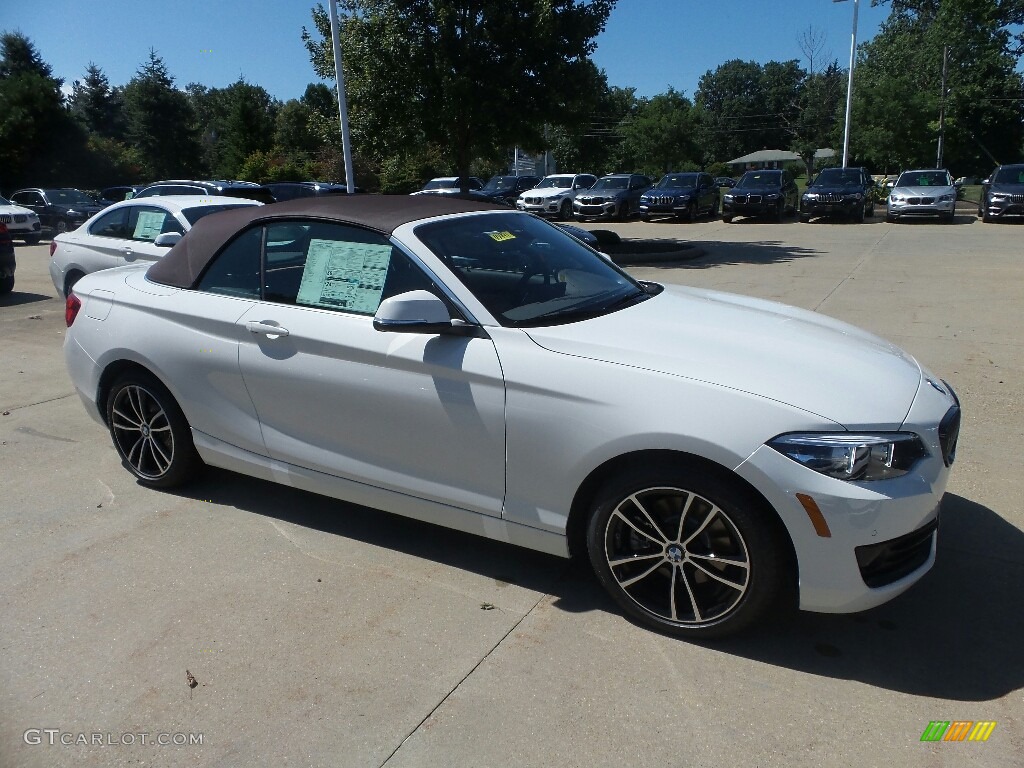 Alpine White 2020 BMW 2 Series 230i xDrive Convertible Exterior Photo #134927098