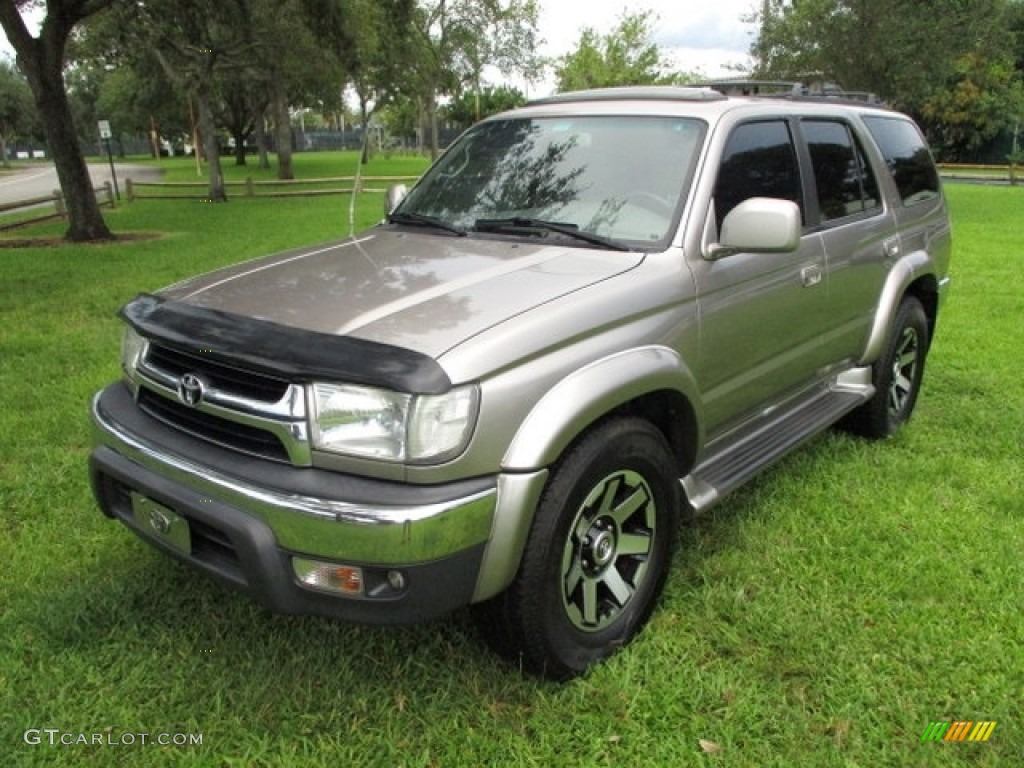 2002 4Runner Limited - Thunder Cloud Metallic / Oak photo #1