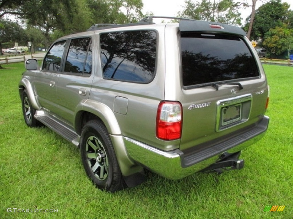 2002 4Runner Limited - Thunder Cloud Metallic / Oak photo #5