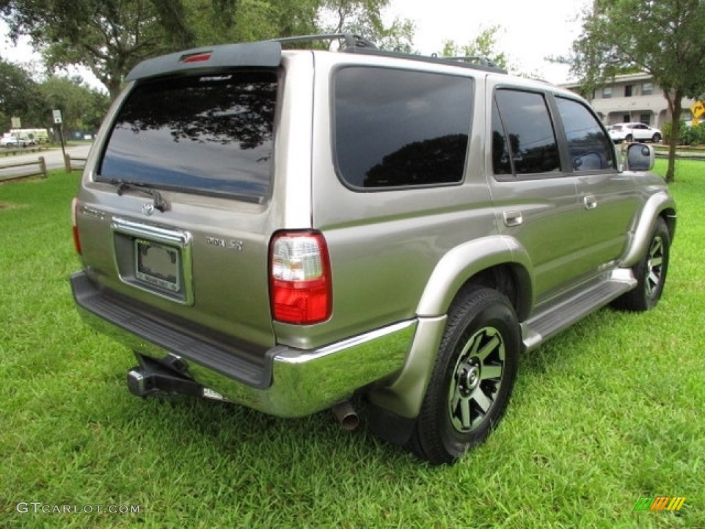2002 4Runner Limited - Thunder Cloud Metallic / Oak photo #9