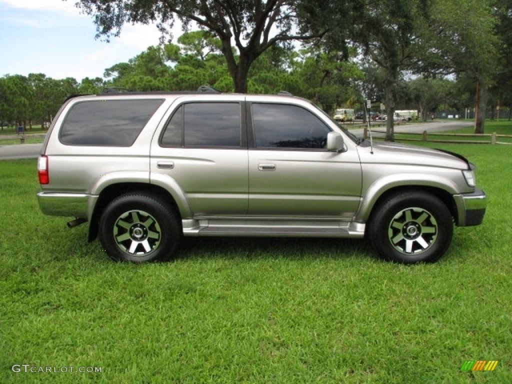 2002 4Runner Limited - Thunder Cloud Metallic / Oak photo #11