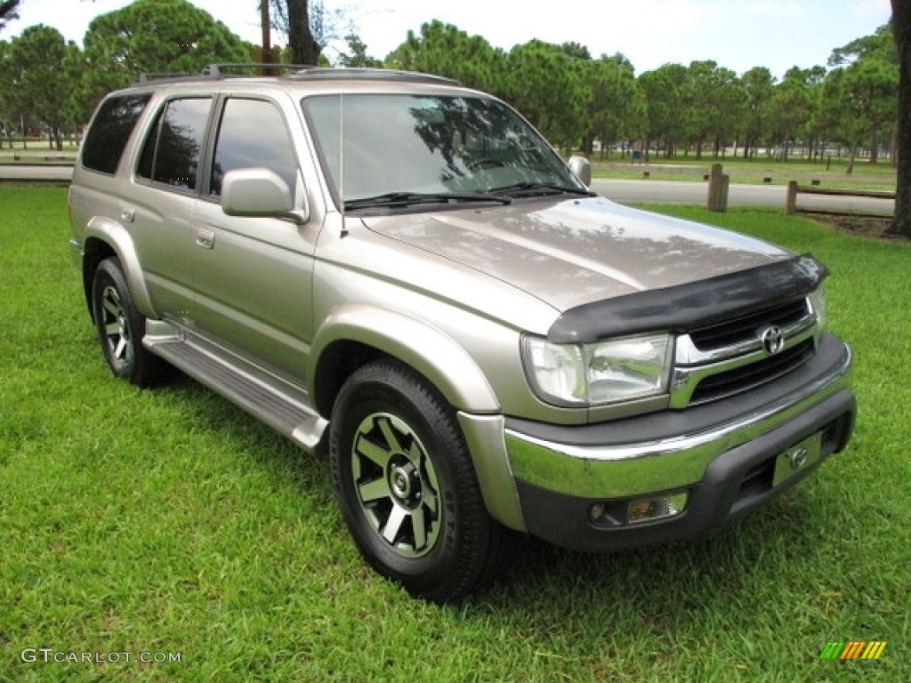 2002 4Runner Limited - Thunder Cloud Metallic / Oak photo #13