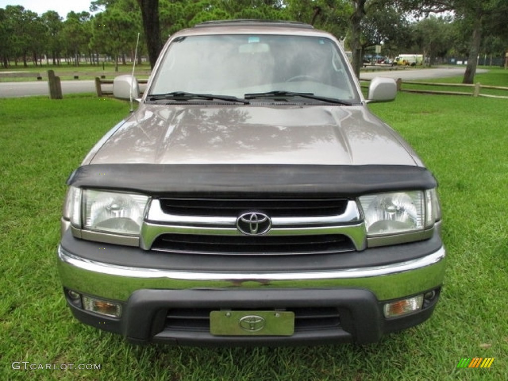 2002 4Runner Limited - Thunder Cloud Metallic / Oak photo #15