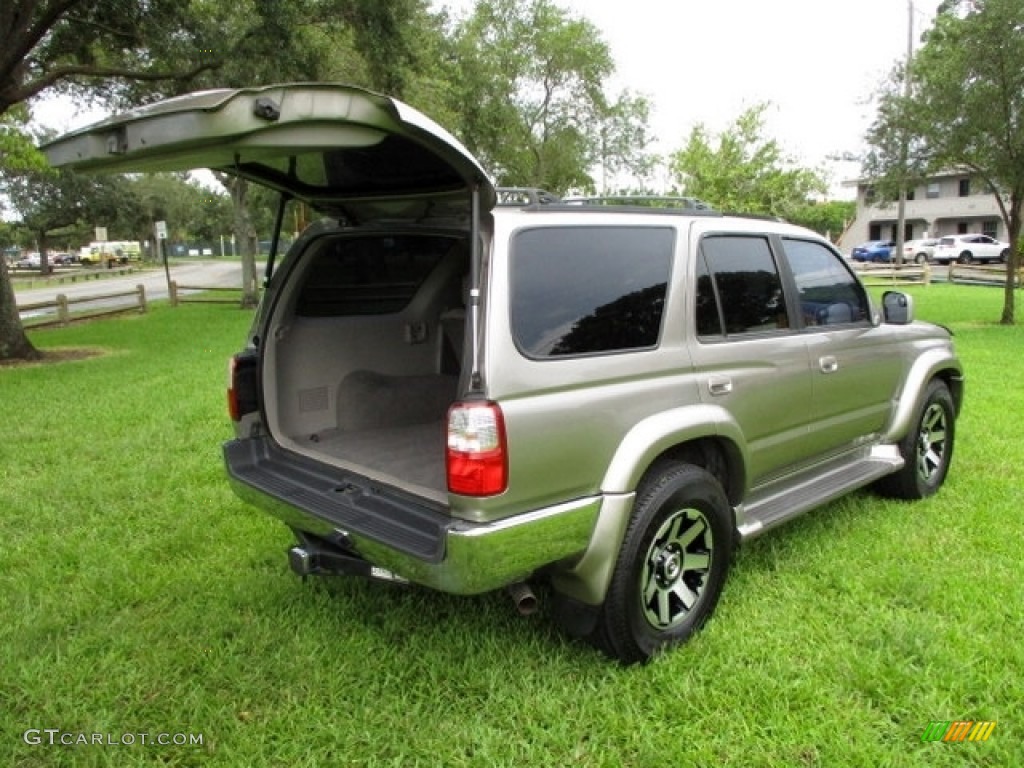 2002 4Runner Limited - Thunder Cloud Metallic / Oak photo #19